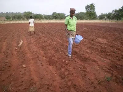 Photo d'une femme qui sème l'arachide.jpg